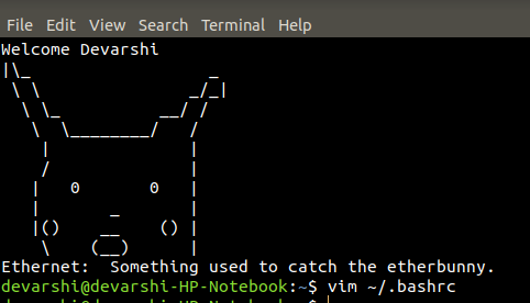 Custom ASCII art and random one-liner welcome messages on Linux Terminal start-up